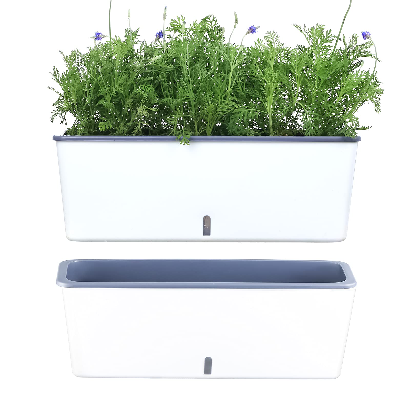 Planterhoma rectangular self-watering planter for herbs on a kitchen window.