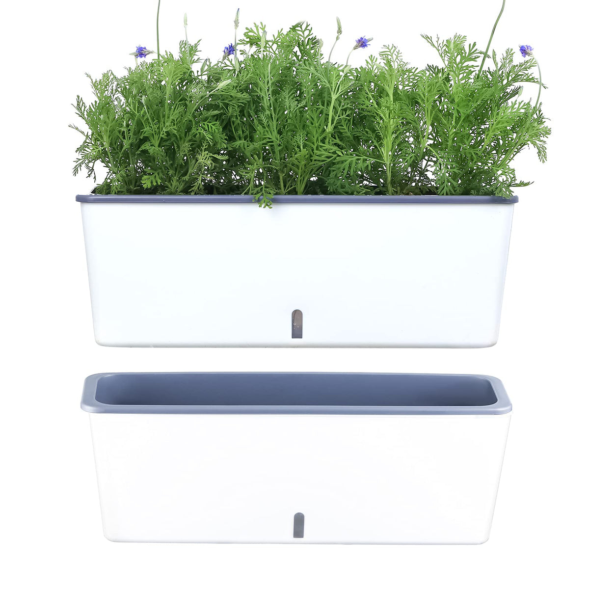 Planterhoma rectangular self-watering planter for herbs on a kitchen window.