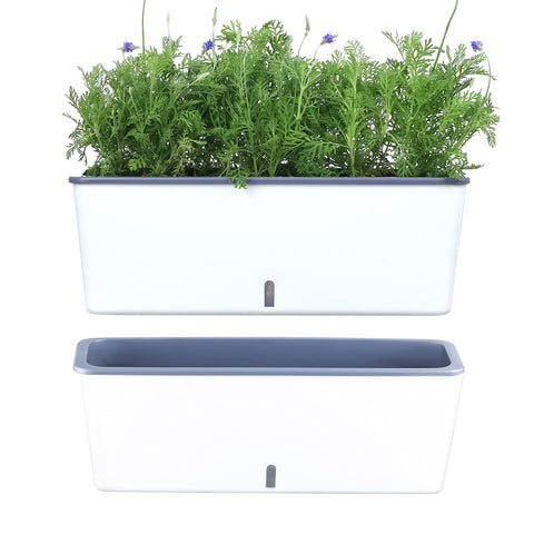 Planterhoma rectangular self-watering planter for herbs on a kitchen window.