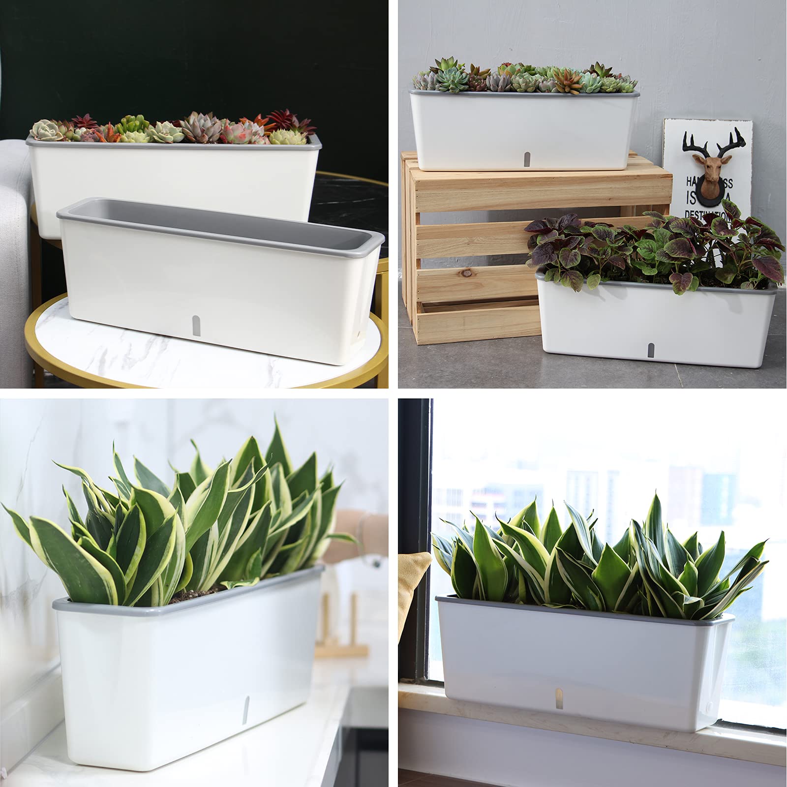 Planterhoma rectangular planter supports deep root growth.