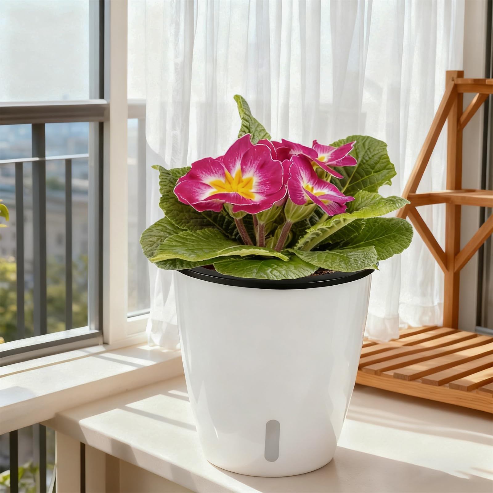 Planterhoma spider plant pot with drainage holes promotes healthy roots.