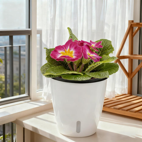 Planterhoma spider plant pot with drainage holes promotes healthy roots.
