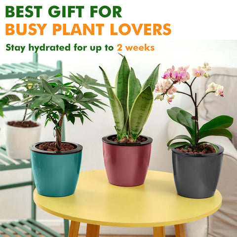 Planterhoma water reservoir and wick system keeps soil evenly hydrated.