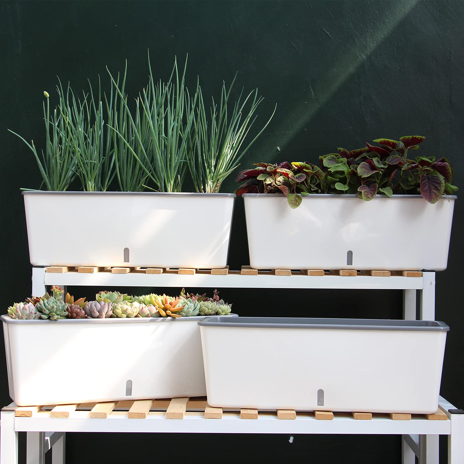 Planterhoma window-sill layout ideal for compact indoor gardens.