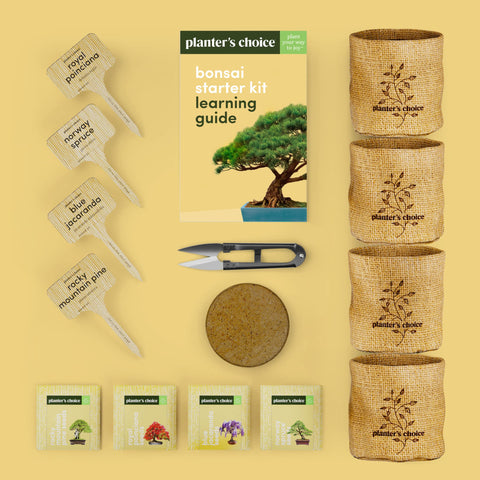 Planters' Choice Bonsai Starter bamboo markers help you track progress.