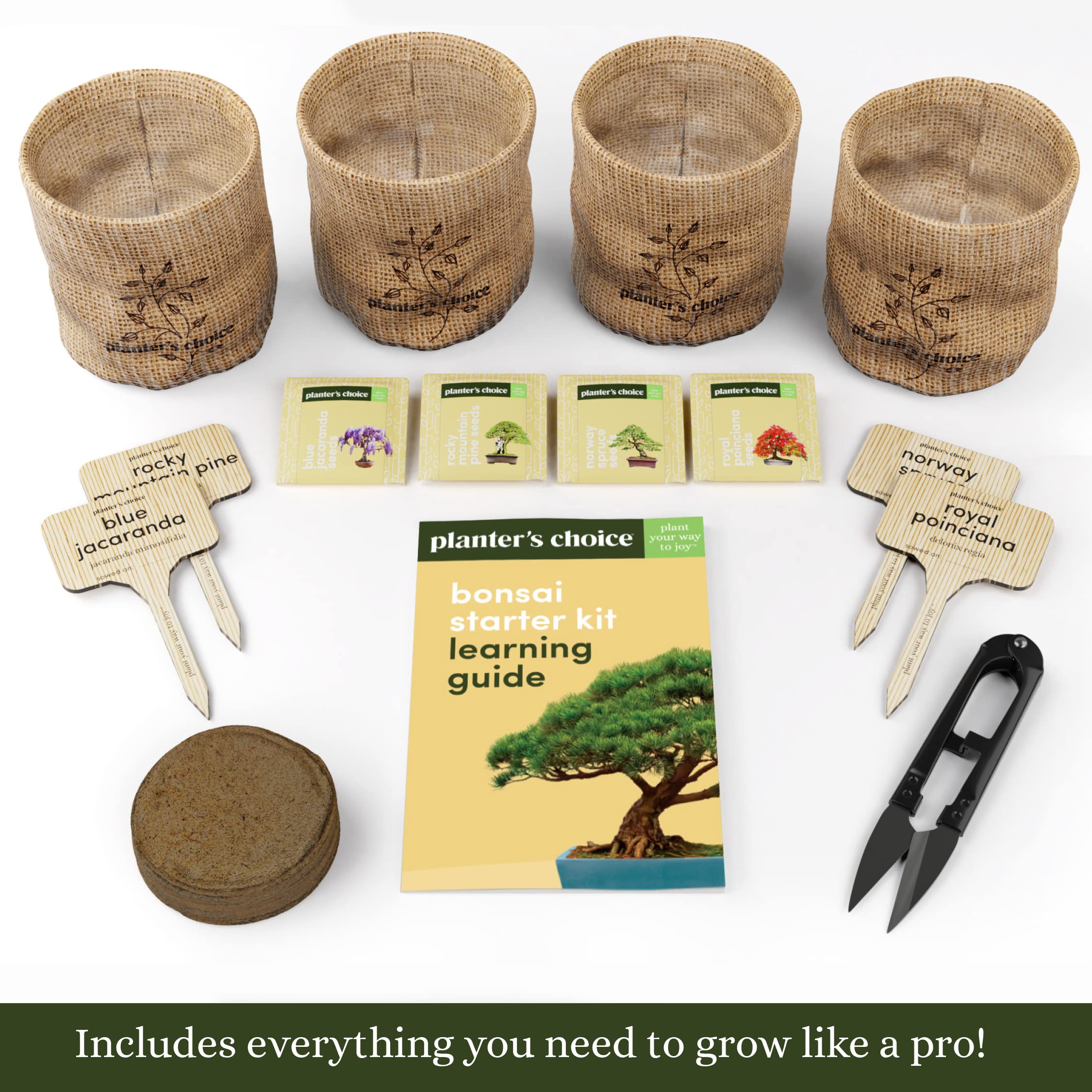 Planters' Choice Bonsai Starter burlap pots for beginner-friendly seedling growth.