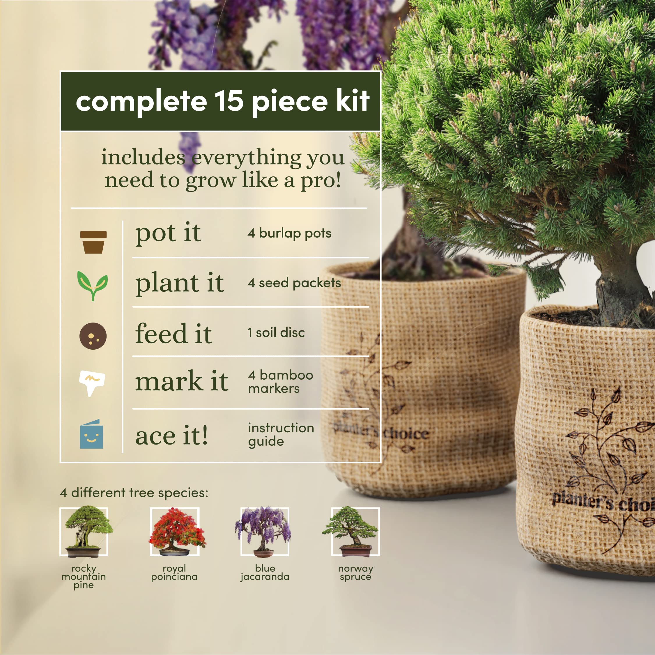 Planters' Choice Bonsai Starter expanding soil disc supports healthy root development.