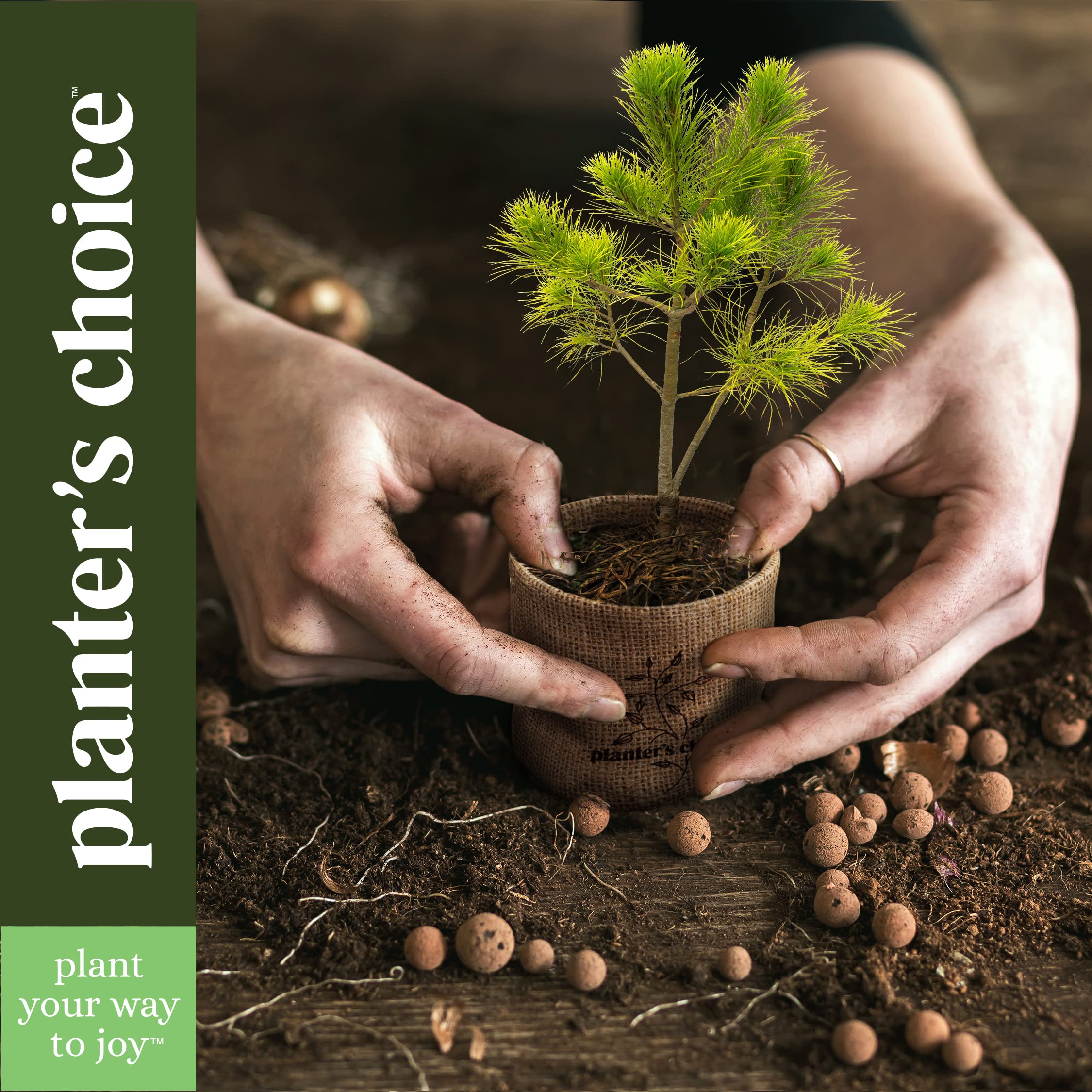 Planters' Choice Bonsai Starter four-seed types offer diverse bonsai options.