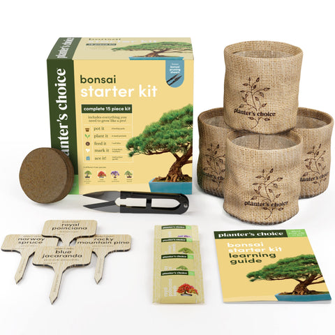 Planters' Choice Bonsai Starter gift box makes a thoughtful DIY present.