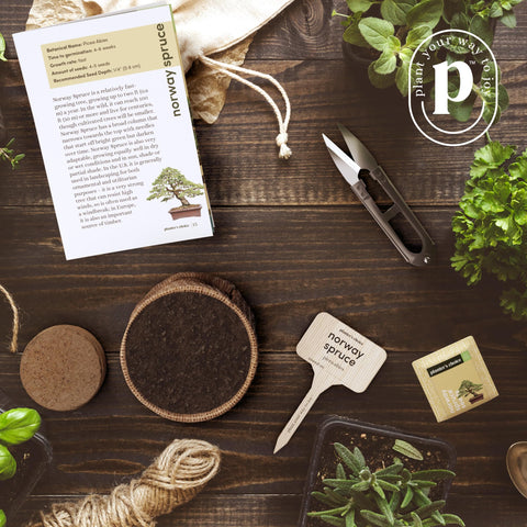 Planters' Choice Bonsai Starter instruction booklet guides beginners clearly.