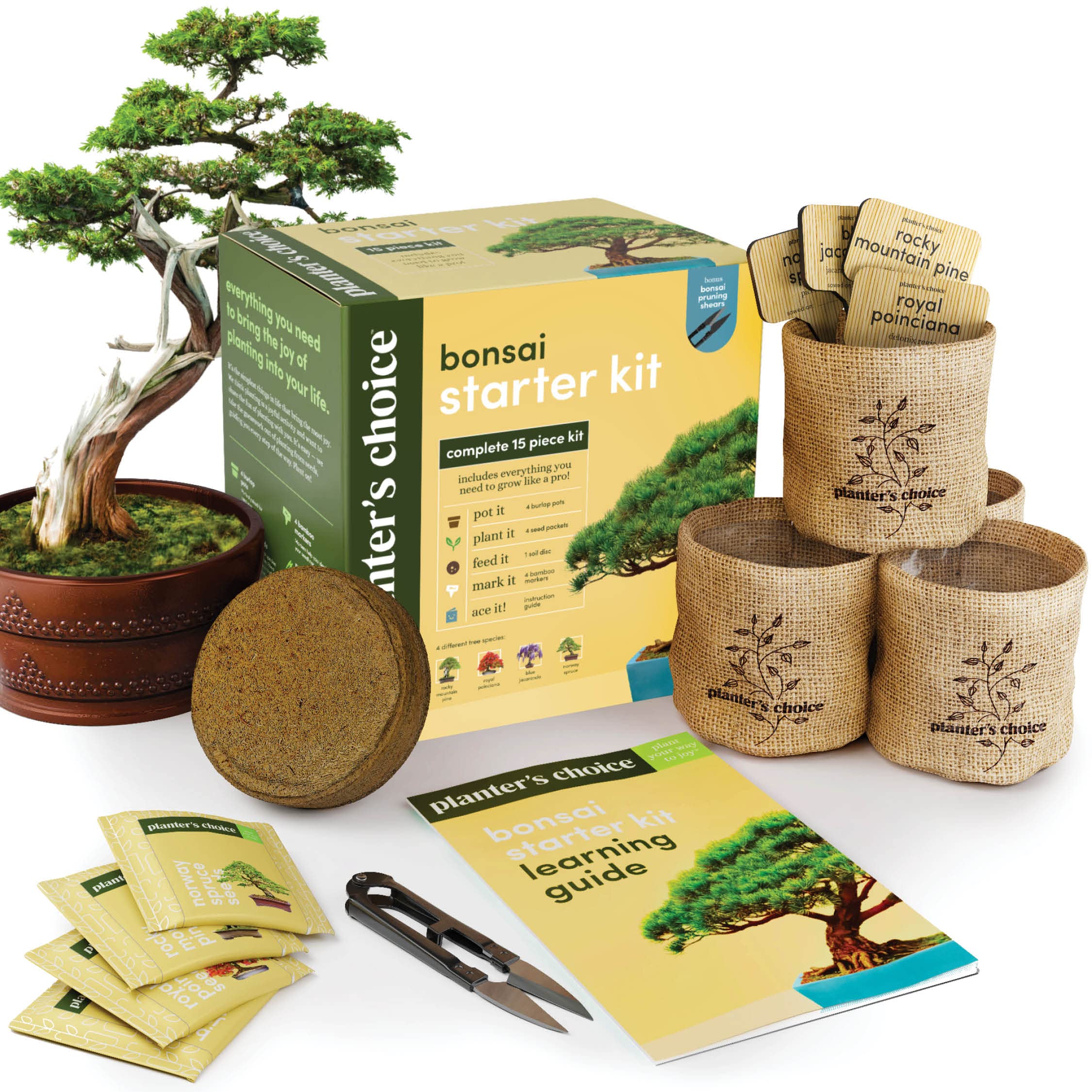 Planters' Choice Bonsai Starter seed packets with four varieties for easy germination.
