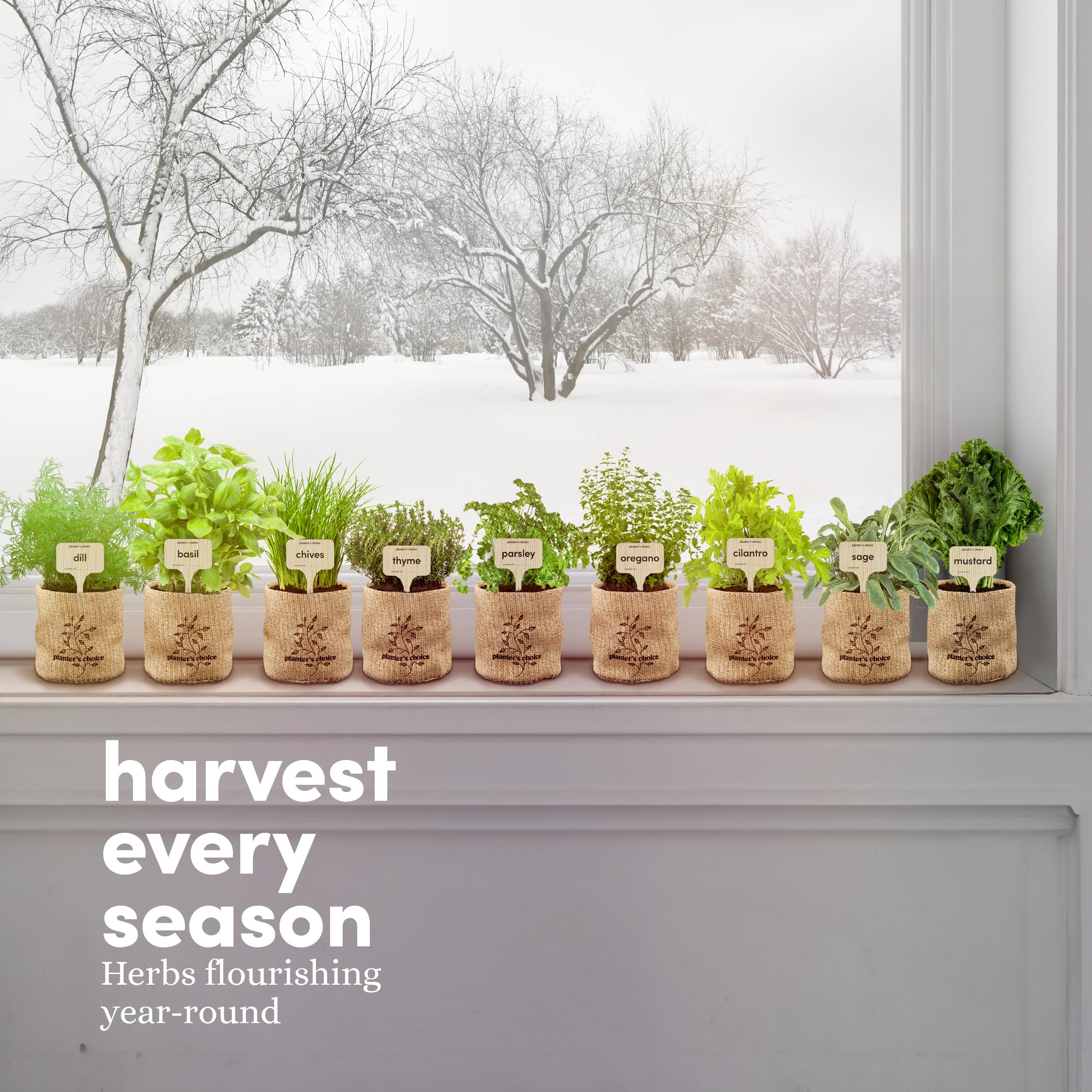 Planters' Choice gift-ready herb garden kit for memorable celebrations