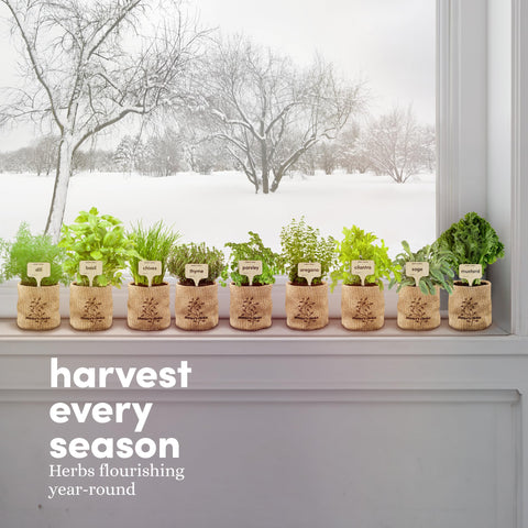 Planters' Choice gift-ready herb garden kit for memorable celebrations