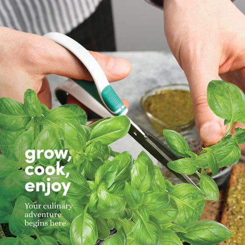 Planters' Choice pre-fertilized soil discs supporting lush herb growth with minimal effort