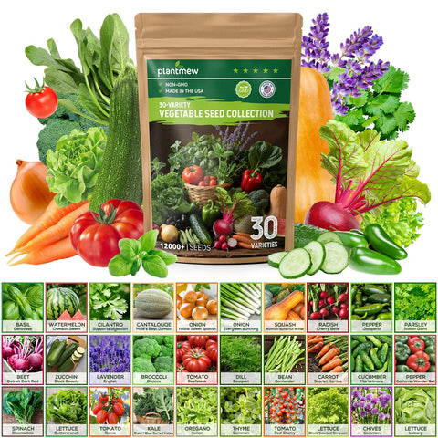 PLANTMEW seed germination test shows viable seeds for a strong start.