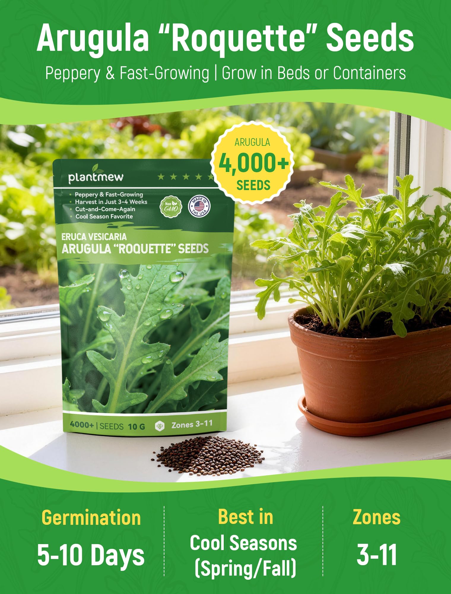 PlantMEW arugula seeds open-pollinated label close-up signals reliable germination.
