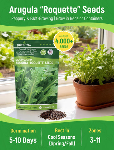 PlantMEW arugula seeds open-pollinated label close-up signals reliable germination.