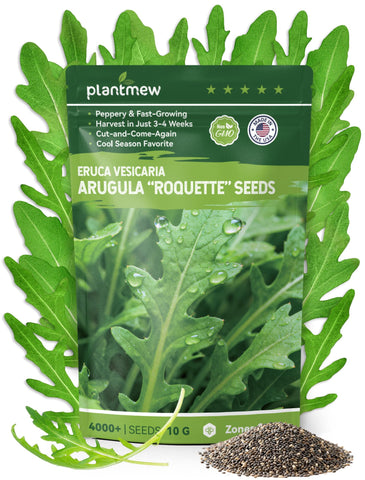 PlantMEW Arugula seeds packaging close-up, highlighting heirloom quality and quick harvest potential.