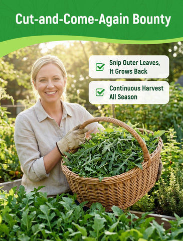 PlantMEW arugula seeds USDA-certified label close-up for trusted heirloom quality.