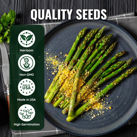 PLANTMEW asparagus spears close-up shows thick green harvest potential.