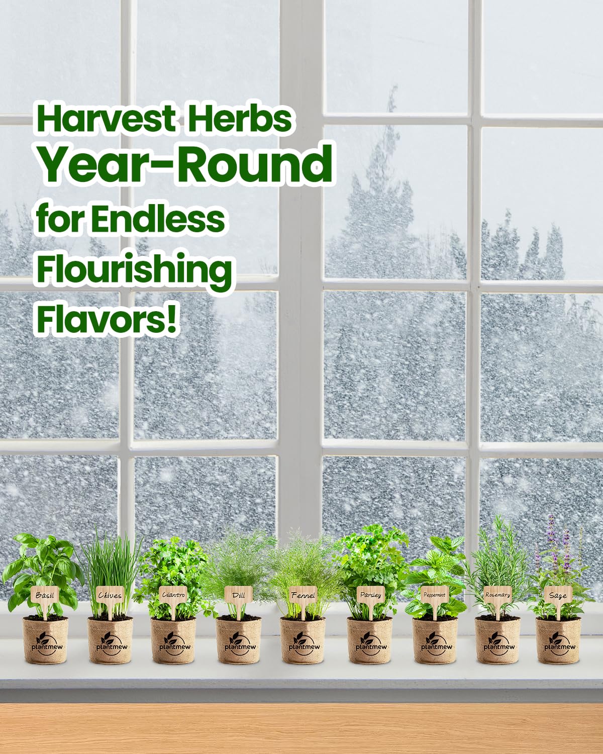 PLANTMEW beginner-friendly guide helps new gardeners start herbs confidently.