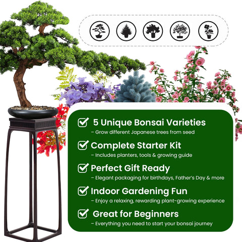 PlantMEW Bonsai Kit comprehensive guide supports beginner bonsai care