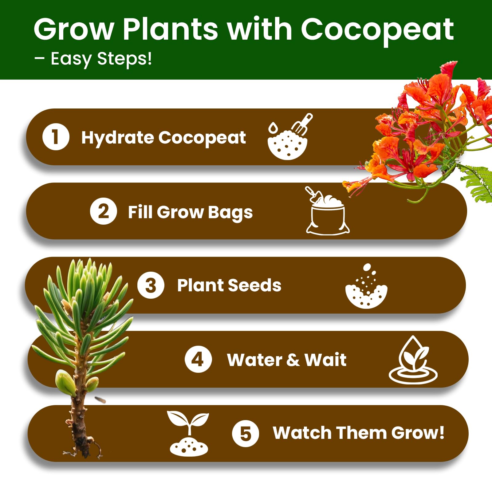 PlantMEW Bonsai Kit pruning shears in use for shaping plants
