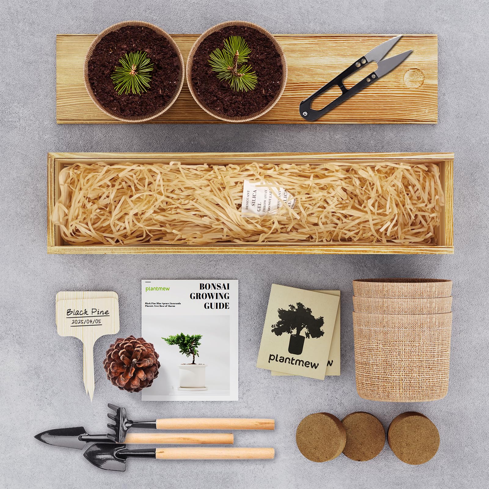 PlantMEW Bonsai Kit starter seeds and soil for easy home gardening