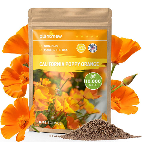 PLANTMEW California Poppy seeds bulk bag for wide garden coverage up to 50 sq ft.