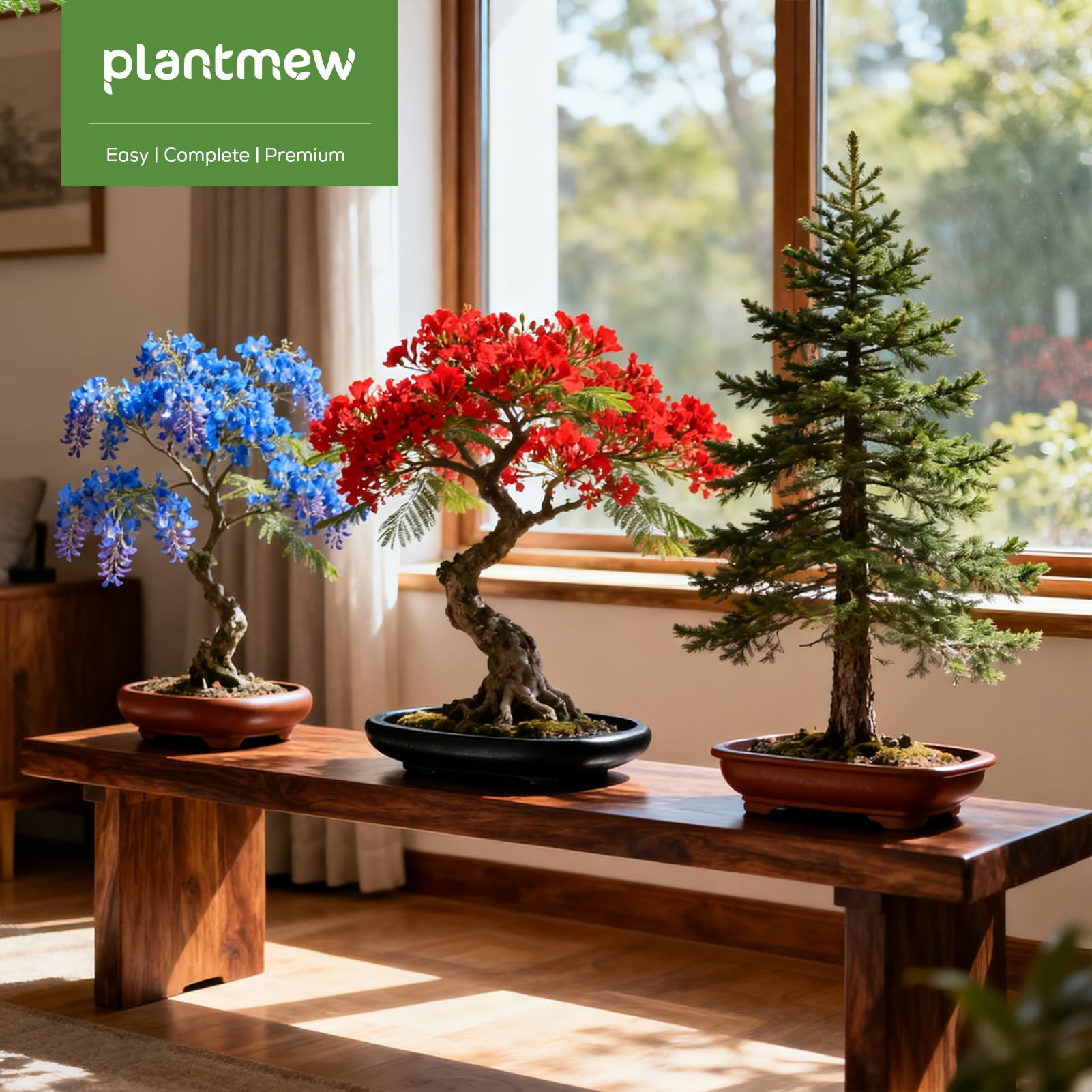 PLANTMEW Calming indoor bonsai space for mindful hobby time
