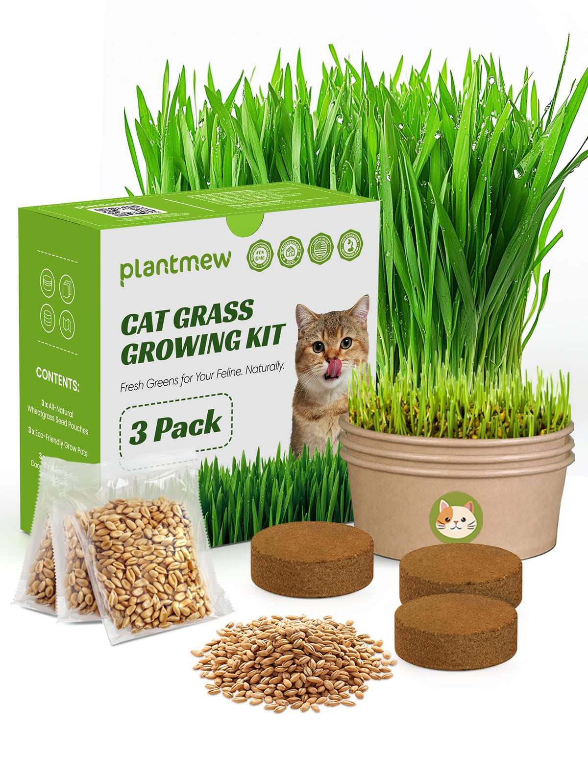 PLANTMEW cat grass kit packaging – complete 3-pack for indoor cats.
