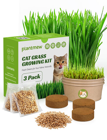 PLANTMEW cat grass kit packaging – complete 3-pack for indoor cats.
