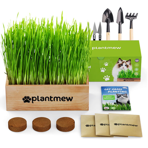 PlantMEW cat grass kit setup with components for easy indoor growth.