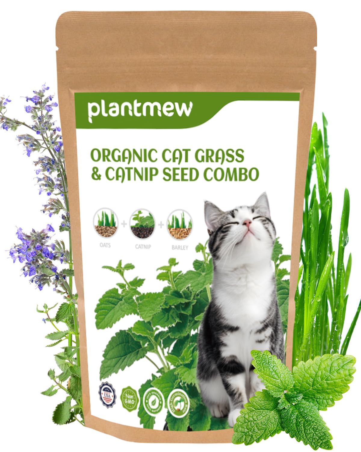PLANTMEW cat grass seeds kit packaging ready for quick indoor growth