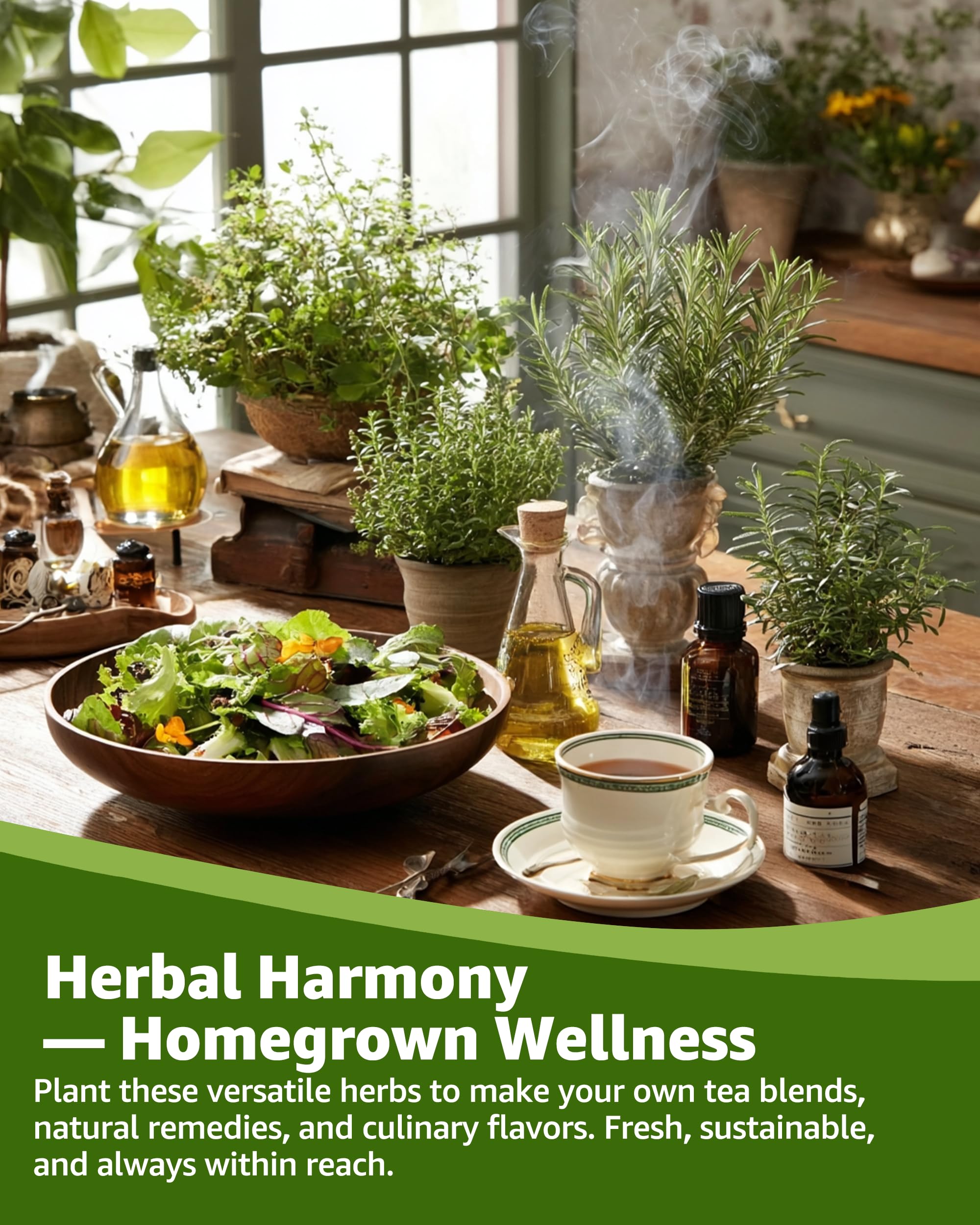 PLANTMEW compact indoor herb garden kit fits sunny windowsills