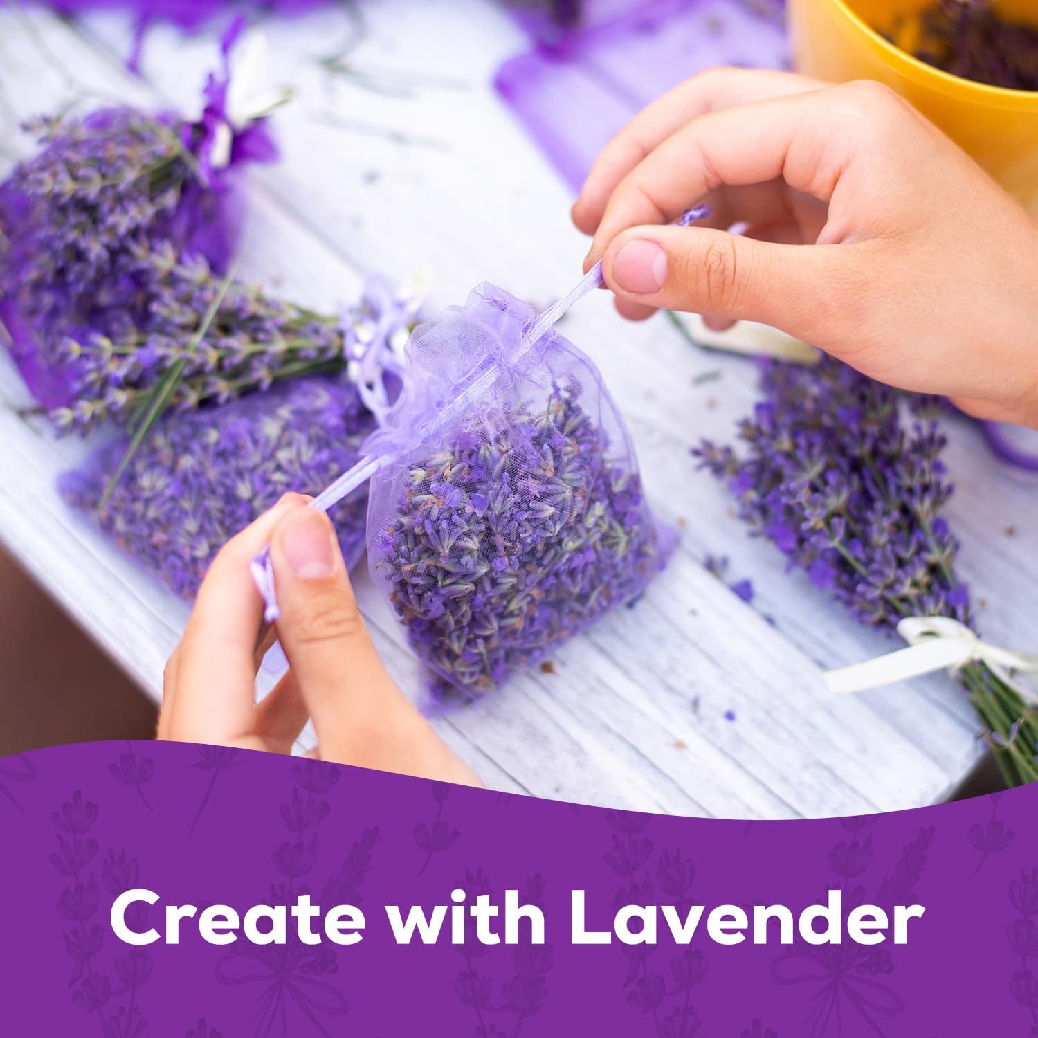 PLANTMEW lavender in a container garden for small-space growing.