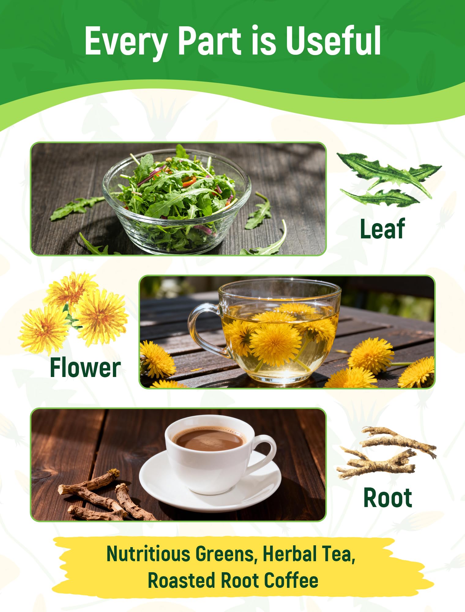 PLANTMEW dandelion flowers tea demonstrates fragrant, caffeine-free infusion ideas.