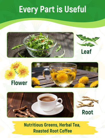 PLANTMEW dandelion flowers tea demonstrates fragrant, caffeine-free infusion ideas.