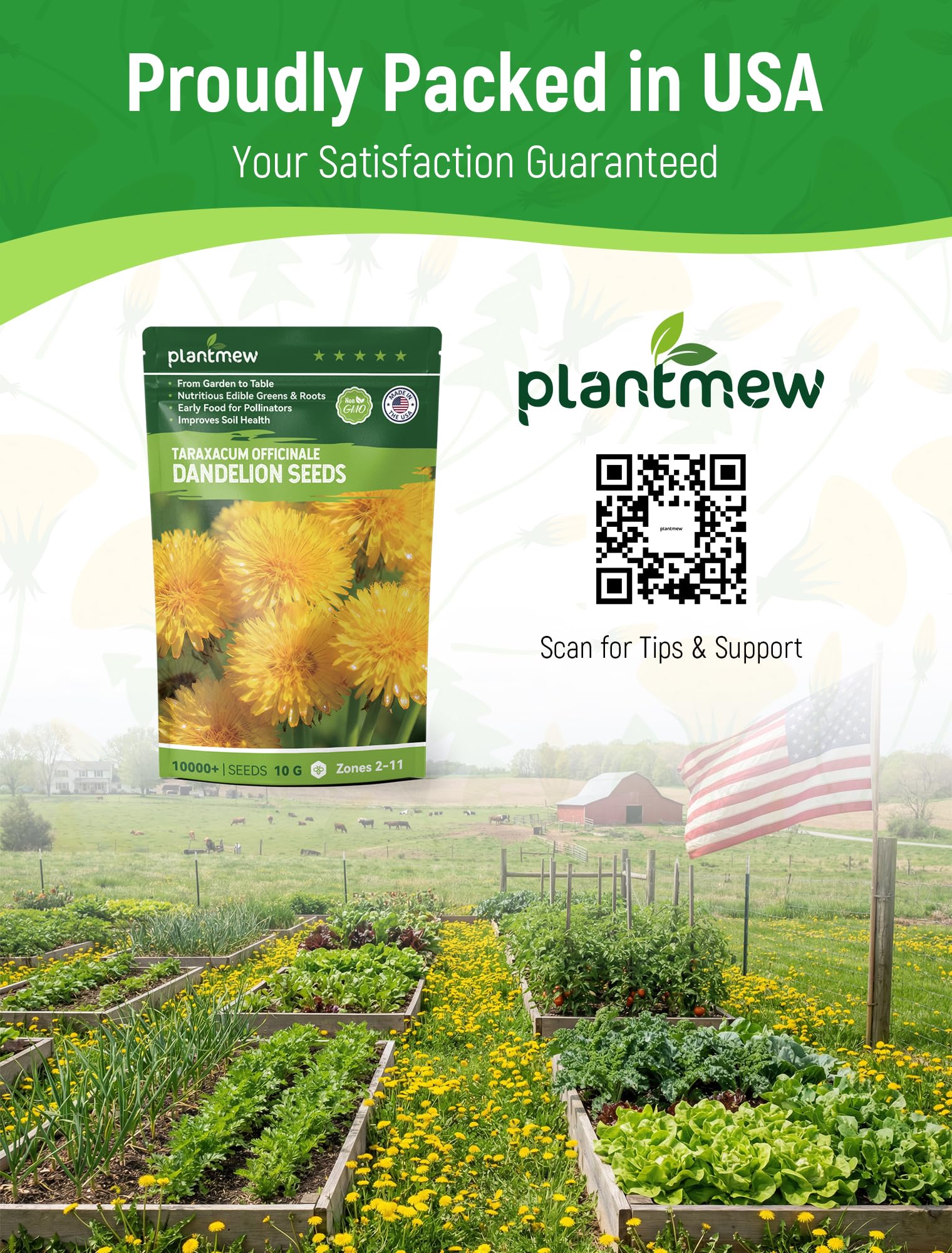 PLANTMEW dandelion pollinator meadow demonstrates bee-friendly habitat for early-season insects.