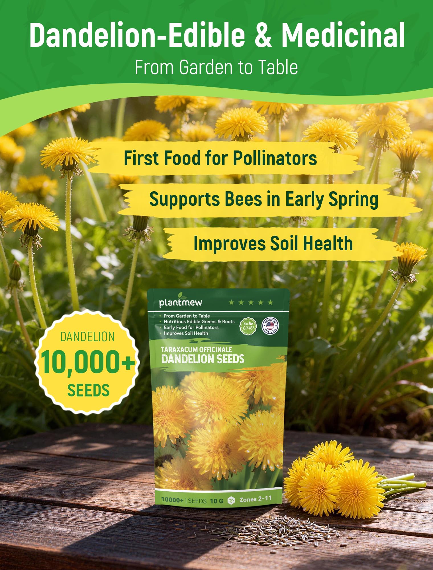 PLANTMEW dandelion seeds close-up reveals premium heirloom quality for robust germination.