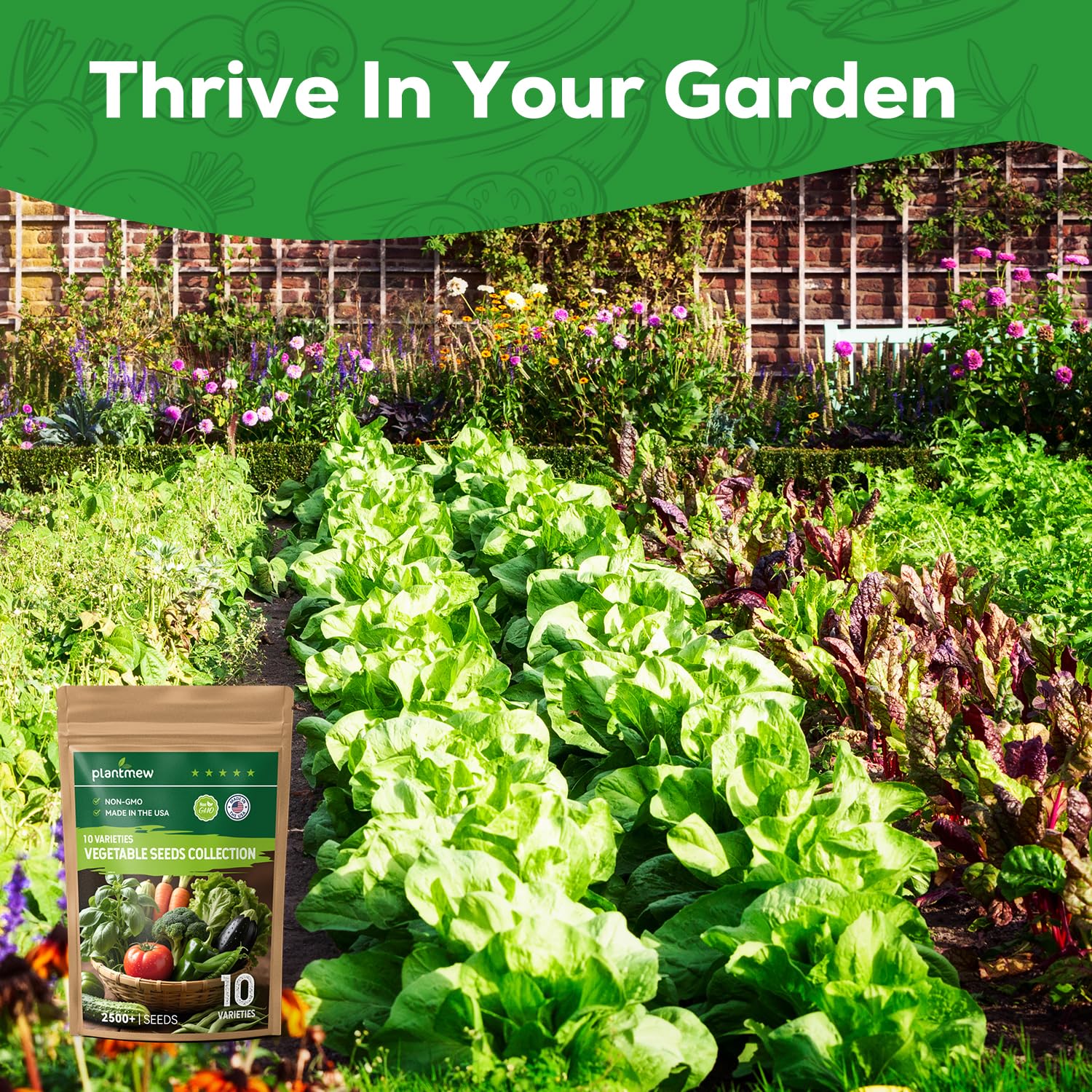 PLANTMEW Di Cicco broccoli seeds for sturdy heads and reliable yields.