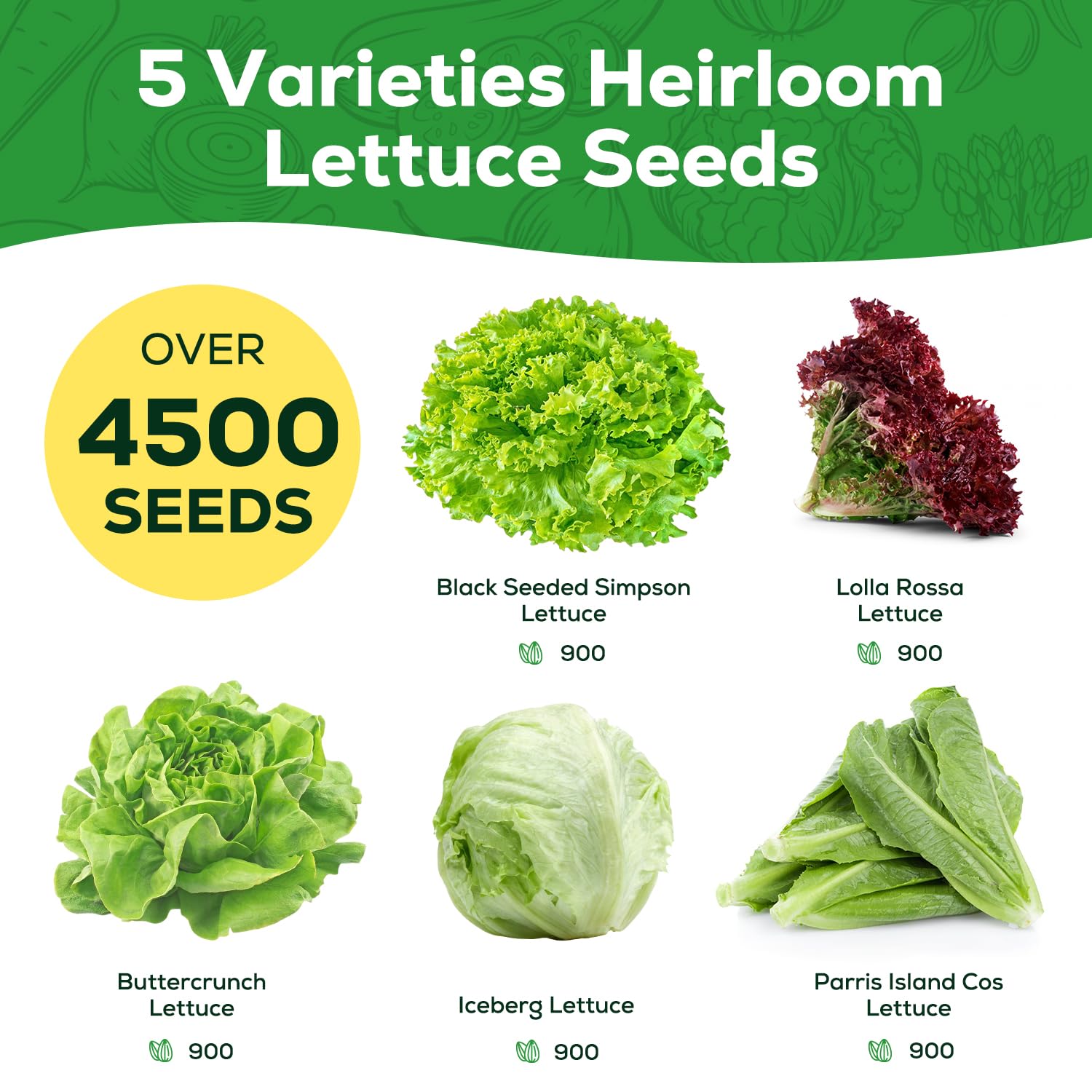 PlantMew five-varieties lettuce collection – continuous harvest readiness
