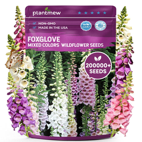 PLANTMEW Foxglove seeds in bulk with mixed colors for vibrant borders