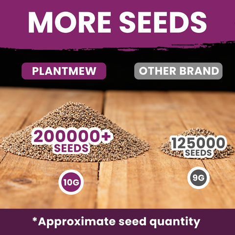 PLANTMEW Foxglove self-seeds, reducing maintenance after establishment