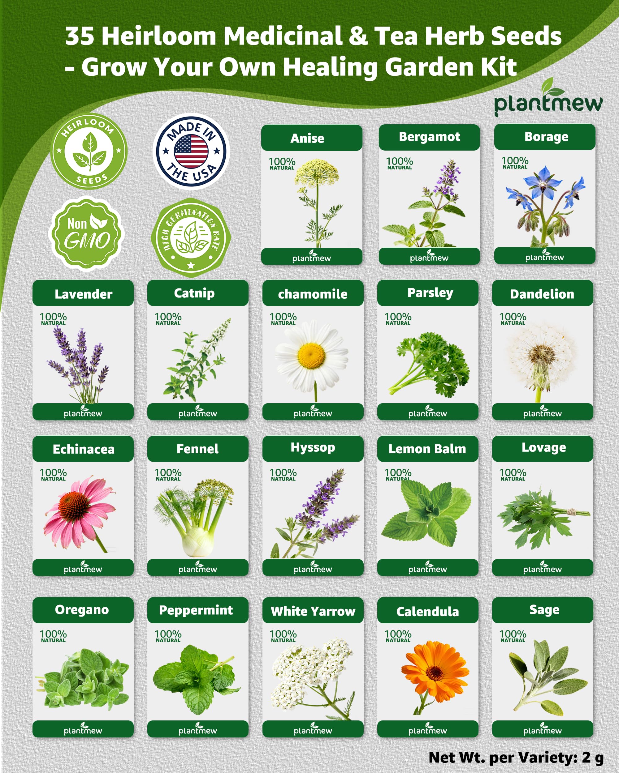 PLANTMEW garden bed sprouts from seeds promote a thriving outdoor herb patch