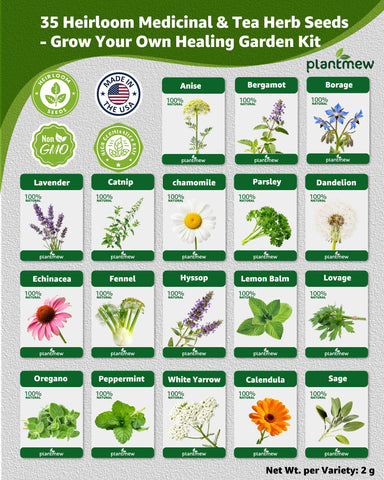 PLANTMEW garden bed sprouts from seeds promote a thriving outdoor herb patch