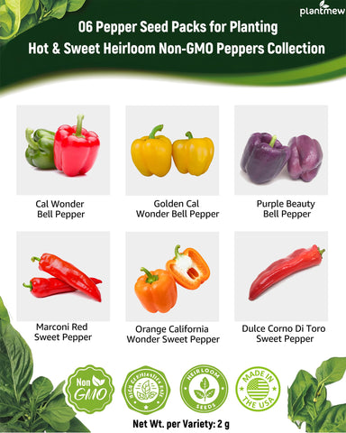 PLANTMEW green Cal Wonder peppers ready for snacking