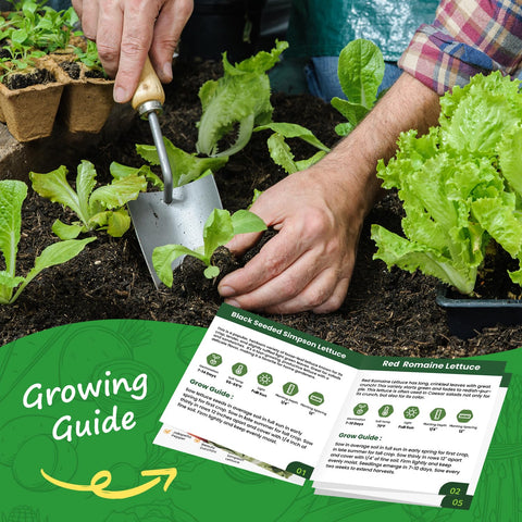 PLANTMEW hand holding seeds for quick-start home harvest