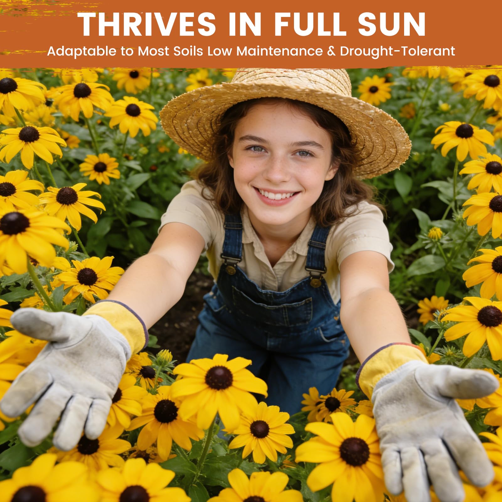 PLANTMEW hand-packed seeds with growing guide for beginner-friendly planting.