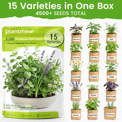 PLANTMEW herb seeds collection showcases diverse varieties for year-round use.